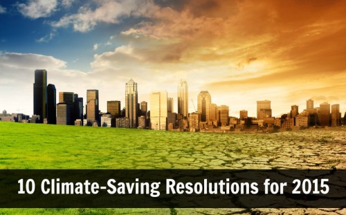 Climate-Saving Resolutions 